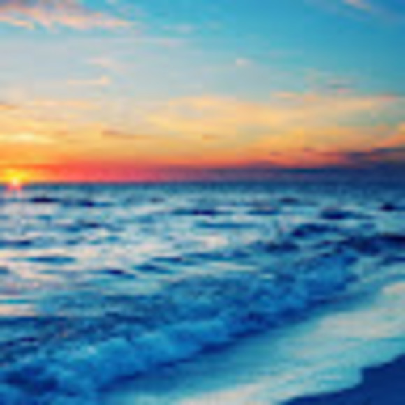 Meet your Posher, Adalynn - Picture 1 of 1